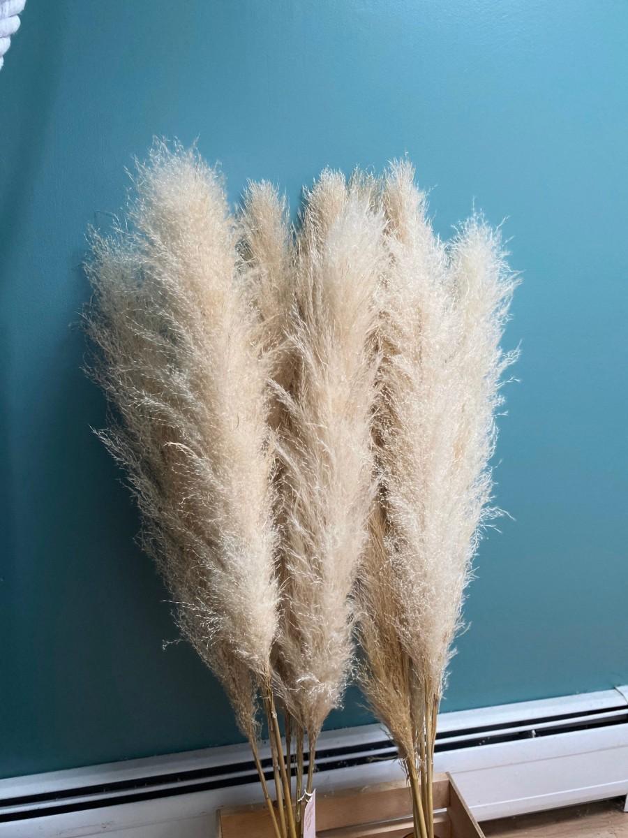 Wedding - 3 Stems Pampas Grass- TOP QUALITY- Extra Fluffy 45 inches tall