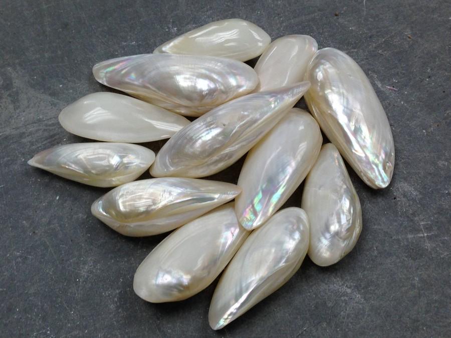 Свадьба - Minnow (Pearled) Seashell (Sets)  (2 Shells)