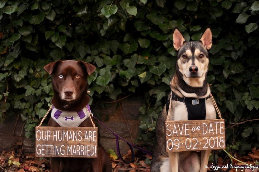 Mariage - Our Humans are Getting Married, Pet Save the Date Sign, Dog Photo Prop Sign, Pet Wedding Sign, Engagement Photos Sign, Rustic Wedding Signs