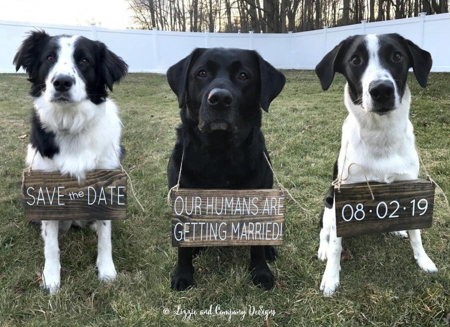 زفاف - Our Humans are Getting Married, Pet Save the Date Sign, Dog Photo Prop Sign, Pet Wedding Sign, Engagement Photos Sign, Rustic Wedding Signs