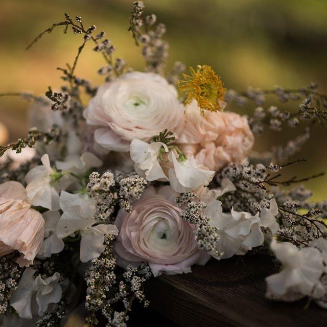 زفاف - It's all about those flowers sometimes!! @amywestfloral #bridalbouquet #bridalbouquets #weddingflowers #weddingflorals #beautifulblooms #bouquet #springbouquet #springweddingflowers