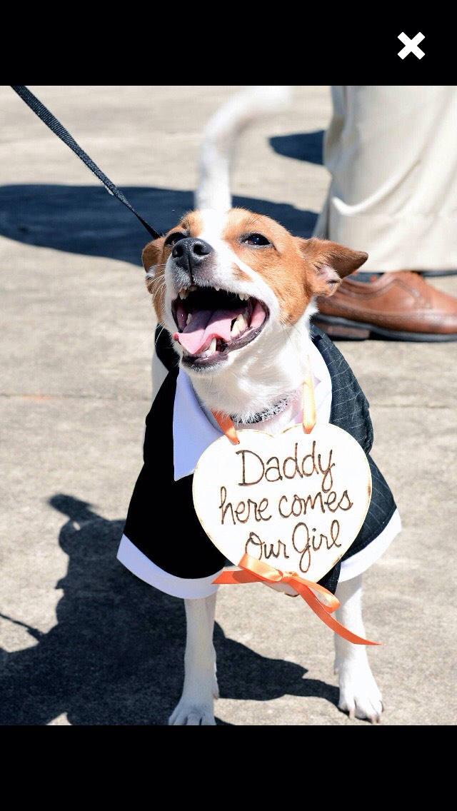 Wedding - Dog Ring Bearer Photo Prop Just Hitched My Humans Got Married Wood Heart Ring Bearer Pillow Daddy, Here Comes your Girl Farmhouse Puppy
