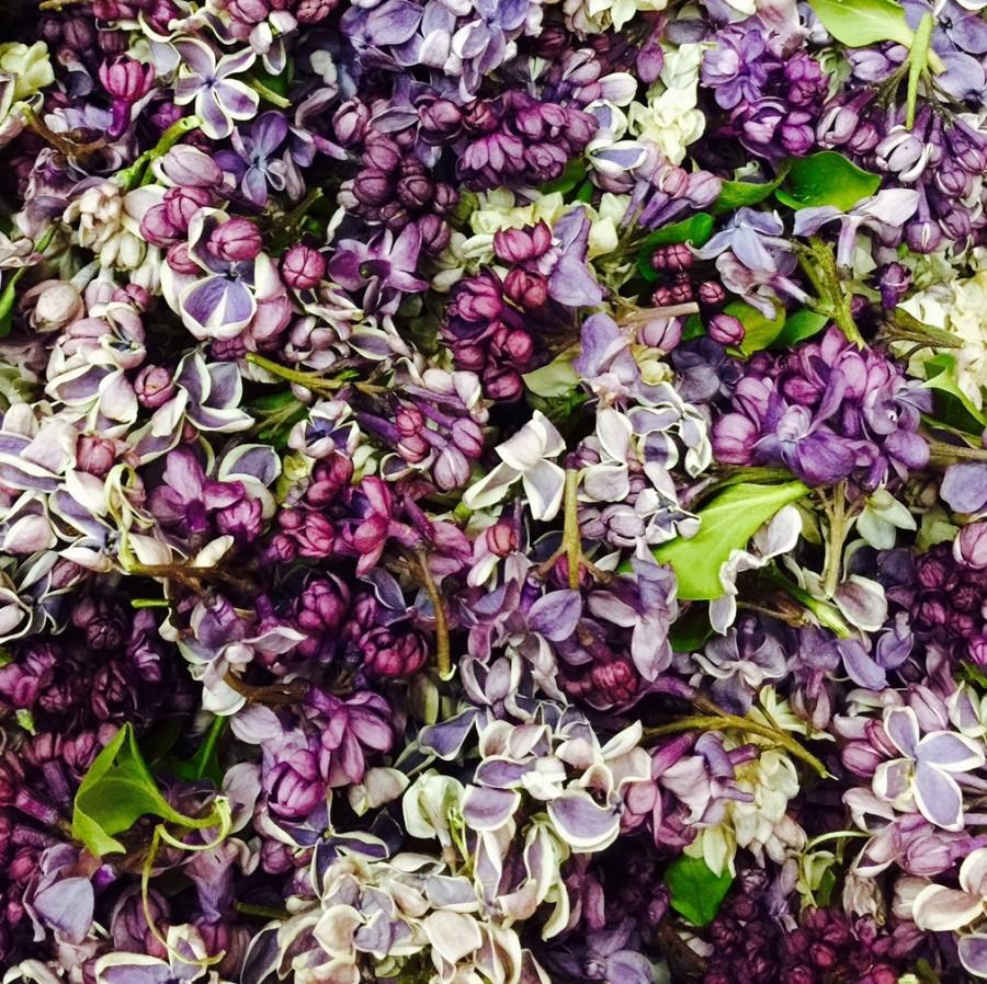 Wedding - BACK In Stock! Lilac Petals. Wedding Petals. 10 cups. Freeze-dried lilac petals. Natural Confetti, decorations, Eco-friendly. USA