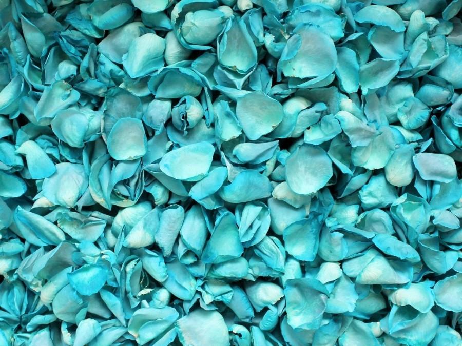 Mariage - Freeze Dried Rose Petals, Teal, 10 cups of REAL rose petals, perfectly preserved