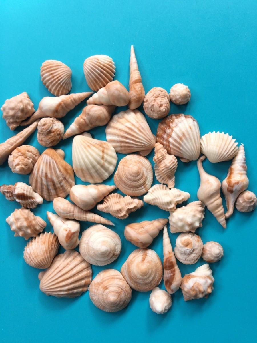 Свадьба - Sea Shell fondant topper 50pcs Beach cake topper beach cupcake toppers sea shore edible sea shells party favors  summer decorations