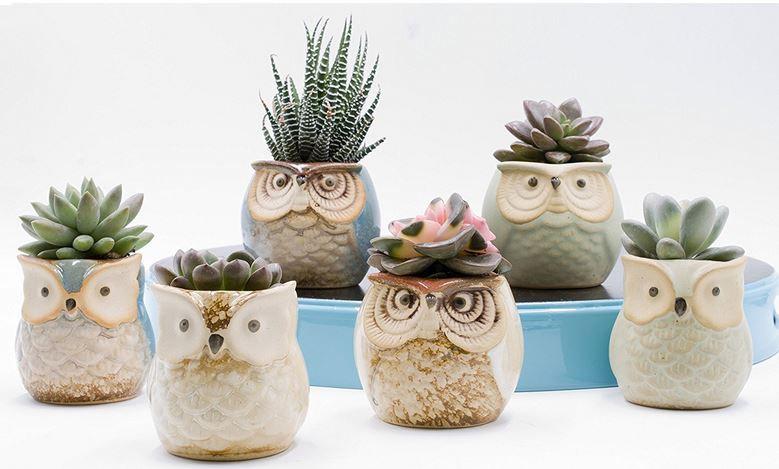 زفاف - Owl Ceramic Pot with hole for Succulent-SET OF 2 -Plant -Bonsai-Air Plant-Home Decor-Christmas Gift-Birthday Gift-Garden-Owl Pot Gift Set