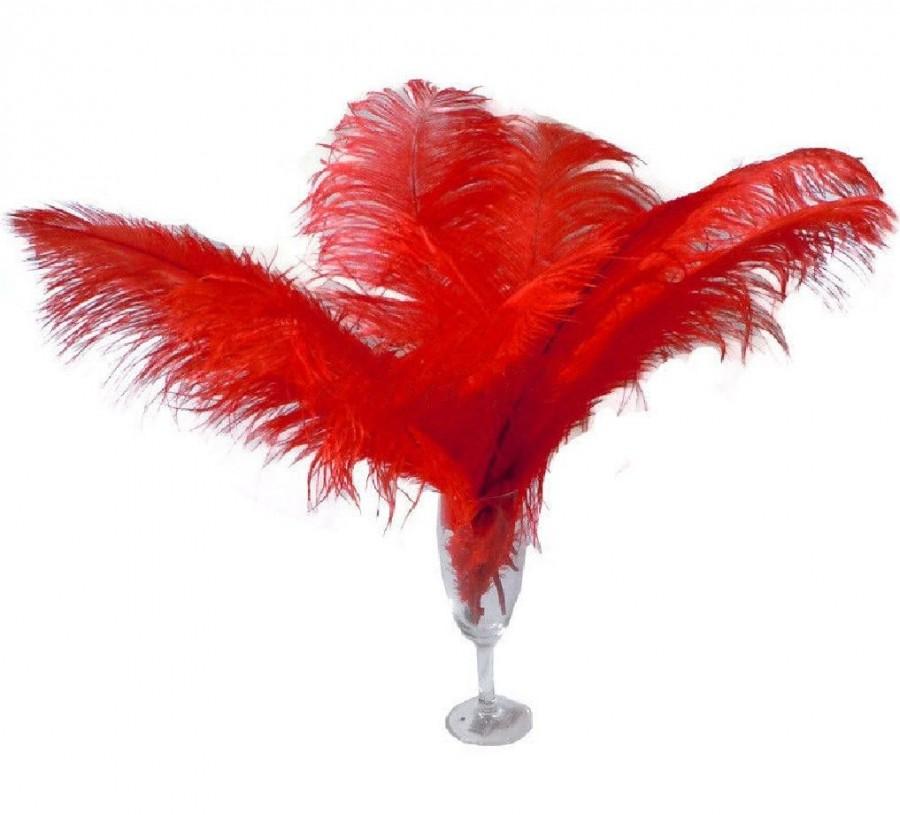 Mariage - 10 Pcs 8-10" 10-12" 12-14" 14-16" Red Ostrich Feather Plume 14-16"