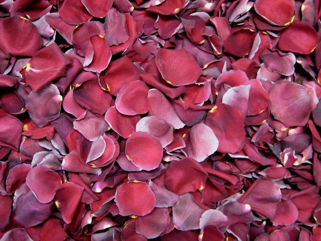 Wedding - Freeze Dried Rose Petals, Burgundy, 10 cups of REAL rose petals, perfectly preserved