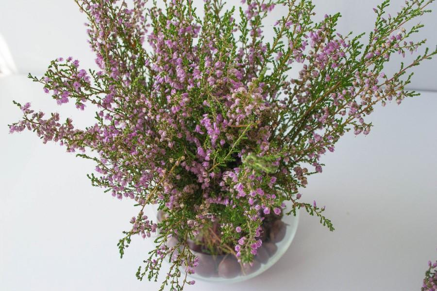 Свадьба - Dry bouquet of heather, wedding bouquet, phytomaterial, floristics, home decor, filler vases