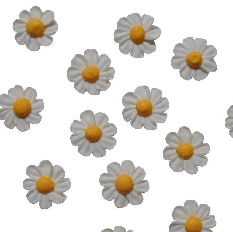 Hochzeit - 24 Royal Icing Daisies - White with Yellow Centers Edible Daisy Cupcake Topper