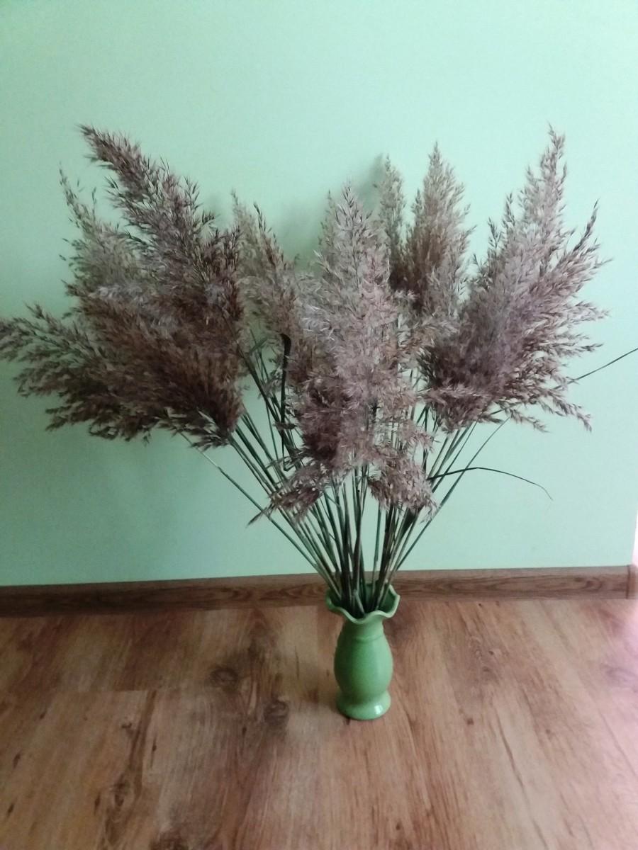 Свадьба - Large wild grass bouquet natural dried grass pampas grass rustic wedding vase filler decor woodland Dry Reed Cane grass Feather grass dried