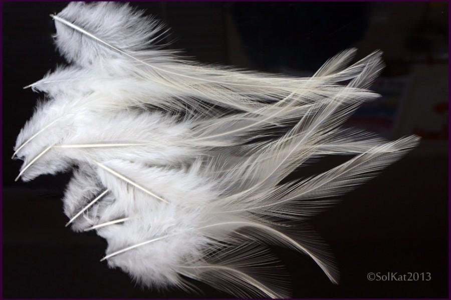 Wedding - White Feathers diy Wedding Accessories Cream White Craft Feathers Natural Bird Feathers Rooster Feathers White Bridal Decor QTY12