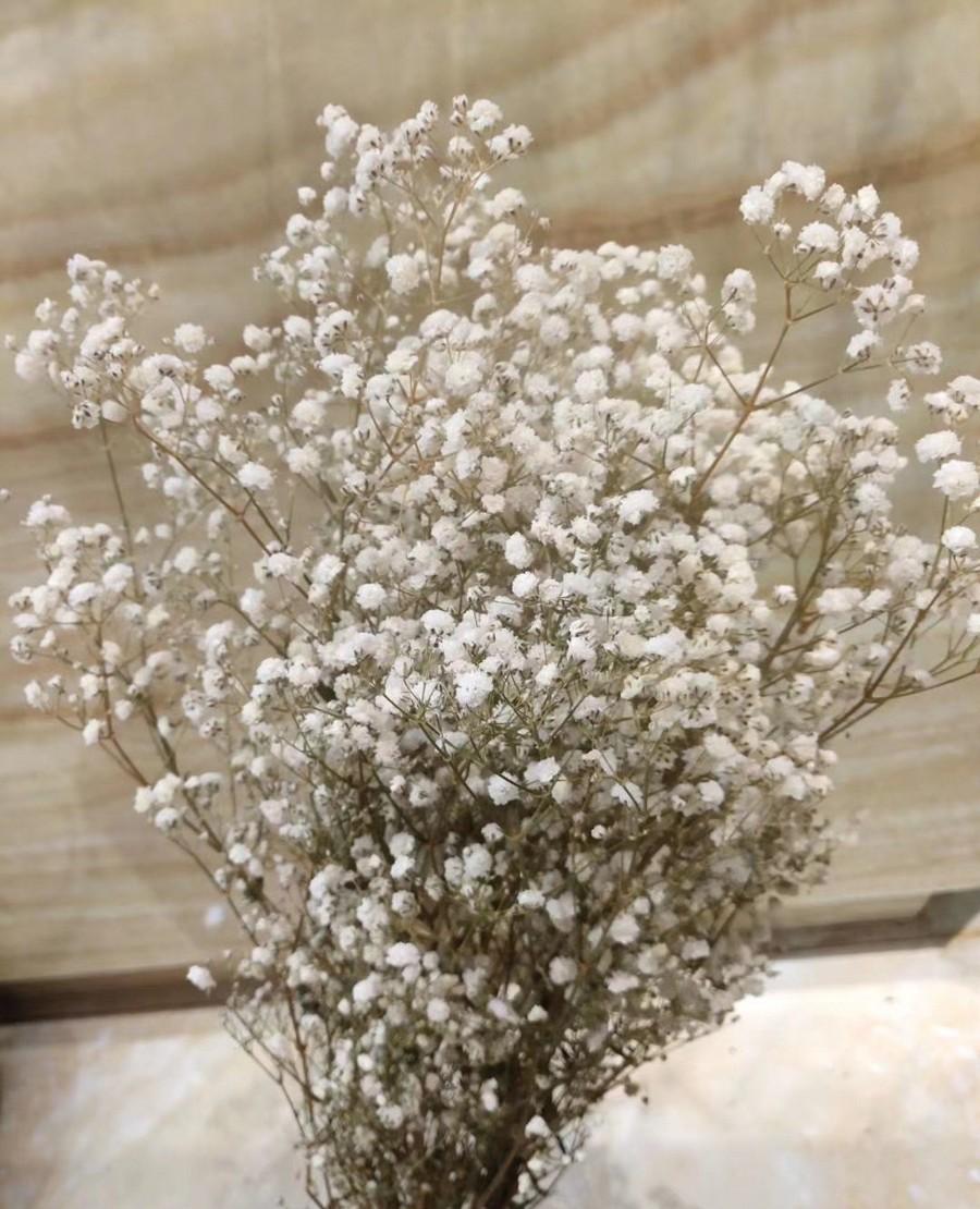 زفاف - Dried Natural Baby's Breath Flower Gypsophila Floral Bunch Home Decoration,White Flower Bunch