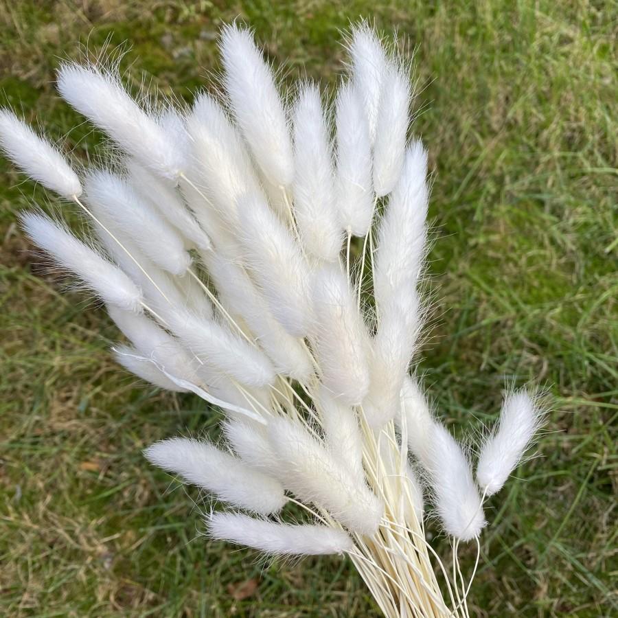 زفاف - White Dried Hare's tail grass Bunny Tail, Flower Arrangements Dried flower arrangement. Dried lagurus bunch. Dried flower bouquet.