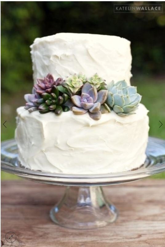 زفاف - Cake decorating kit - succulents for cake