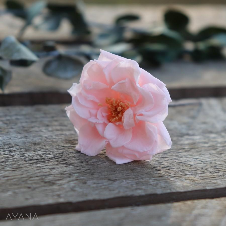 Wedding - Preserved wild rose on hair clips for bridal or bridesmaid hairstyle, natural preserved flower  