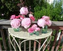 Hochzeit - Peony + Ranunculus, Pretty In Pink