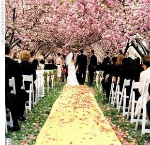 زفاف - الربيع الأعراس