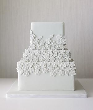 Hochzeit - Wedidng Kuchen