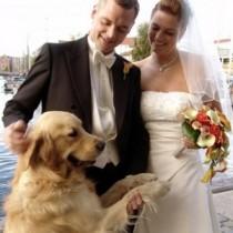 wedding photo - Pets In Wedding