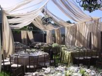 wedding photo -  Muslin canopy