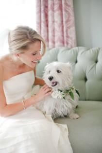 wedding photo - Puppy LOVE