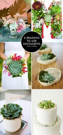 wedding photo - Succulents in your modern wedding