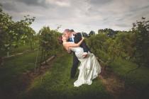 wedding photo - Vineyard Dip
