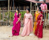 wedding photo - Warm Saris