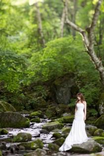 wedding photo - In Forest