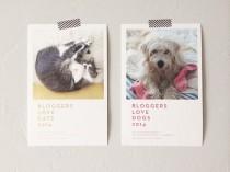 wedding photo - Bloggers Love Cats + Dogs