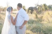 wedding photo - A Safari Wedding in Botswana