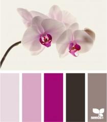 wedding photo - Radiant Orchid: Pantone 2014 Color