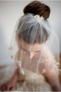 wedding photo - Wedding Veils
