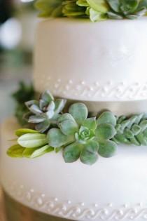 wedding photo - Wedding Succulents