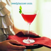 wedding photo - A Guide To Serving Wedding Beverages and free wedding iPad app