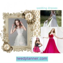 wedding photo - Clean And Preserve Your Wedding Dress and free wedding app