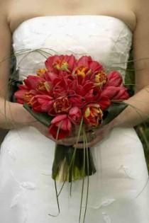 wedding photo - Free iPad app to choose Wedding Flowers for A Magnificent Bouquet
