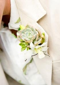 wedding photo - Boutonnieres Bloom