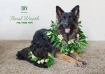 wedding photo - DIY: Floral Wreath for your Dog