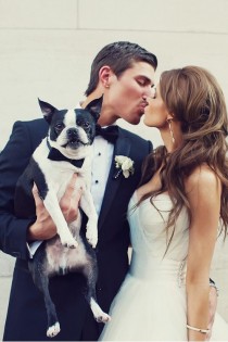 wedding photo - Pets In The Wedding - Man's Best Friend