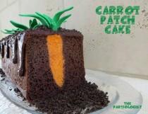 wedding photo -  Carrot Patch Cake