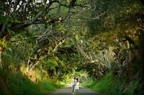 wedding photo - Enchanted Woodland Wedding Inspiration