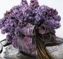 wedding photo - Pure Lilac