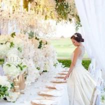 wedding photo - Amazing setting