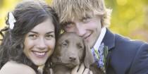 wedding photo - How to Include Your Dog in Your Wedding Ceremony