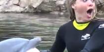 wedding photo - WATCH: Pitcher Pops The Question With A Dolphin