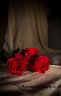 wedding photo - Waiting Roses