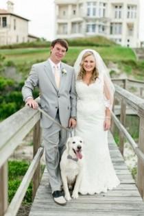 wedding photo - Precious Puppies