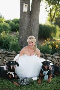 wedding photo - Precious Puppies